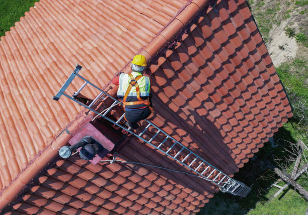 Best Roof Maintenance and Cleaning  in Warren, OR